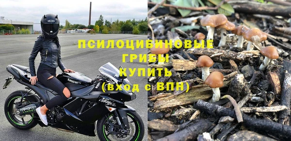 молекула духа Алзамай