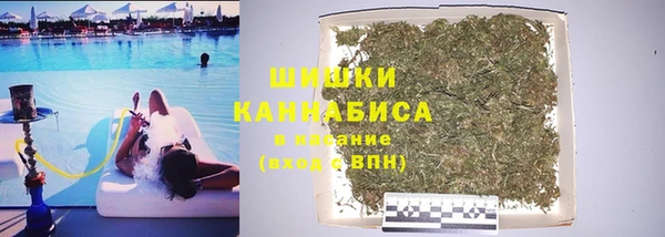 гидра Сафоново