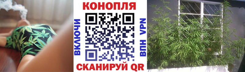 где купить наркоту  hydra ТОР  Бошки Шишки тримм  Далматово 